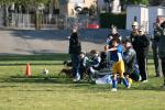 C-Elephants  0026_resize